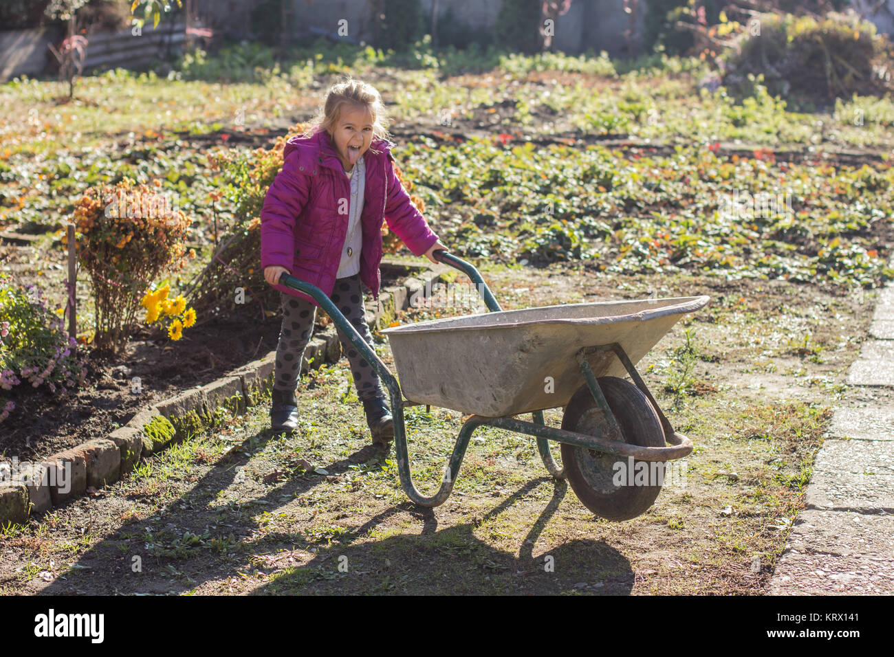 Happy little girl sitting in wheelbarrow Stock Photo - Alamy