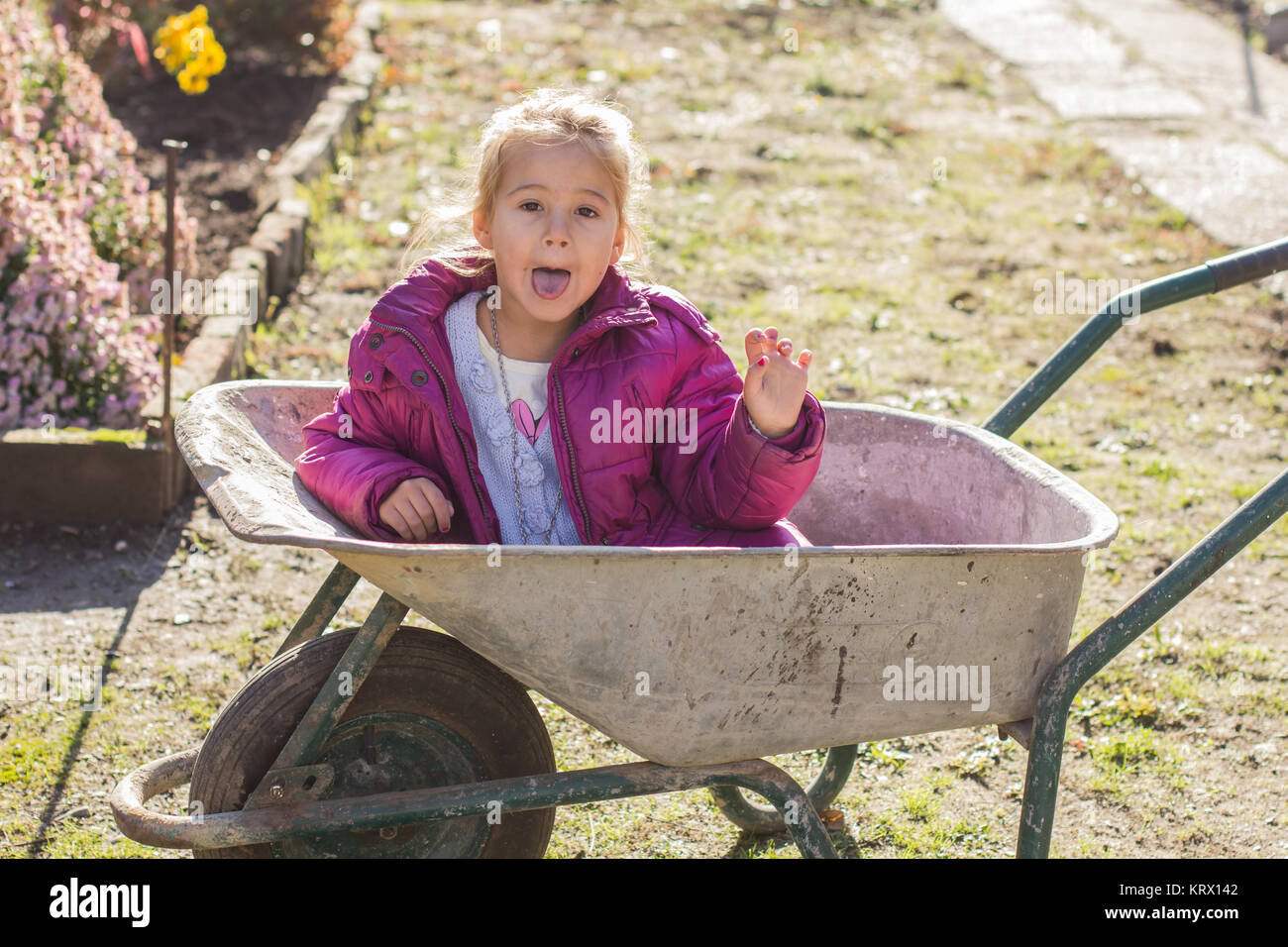 Happy little girl sitting in wheelbarrow Stock Photo - Alamy