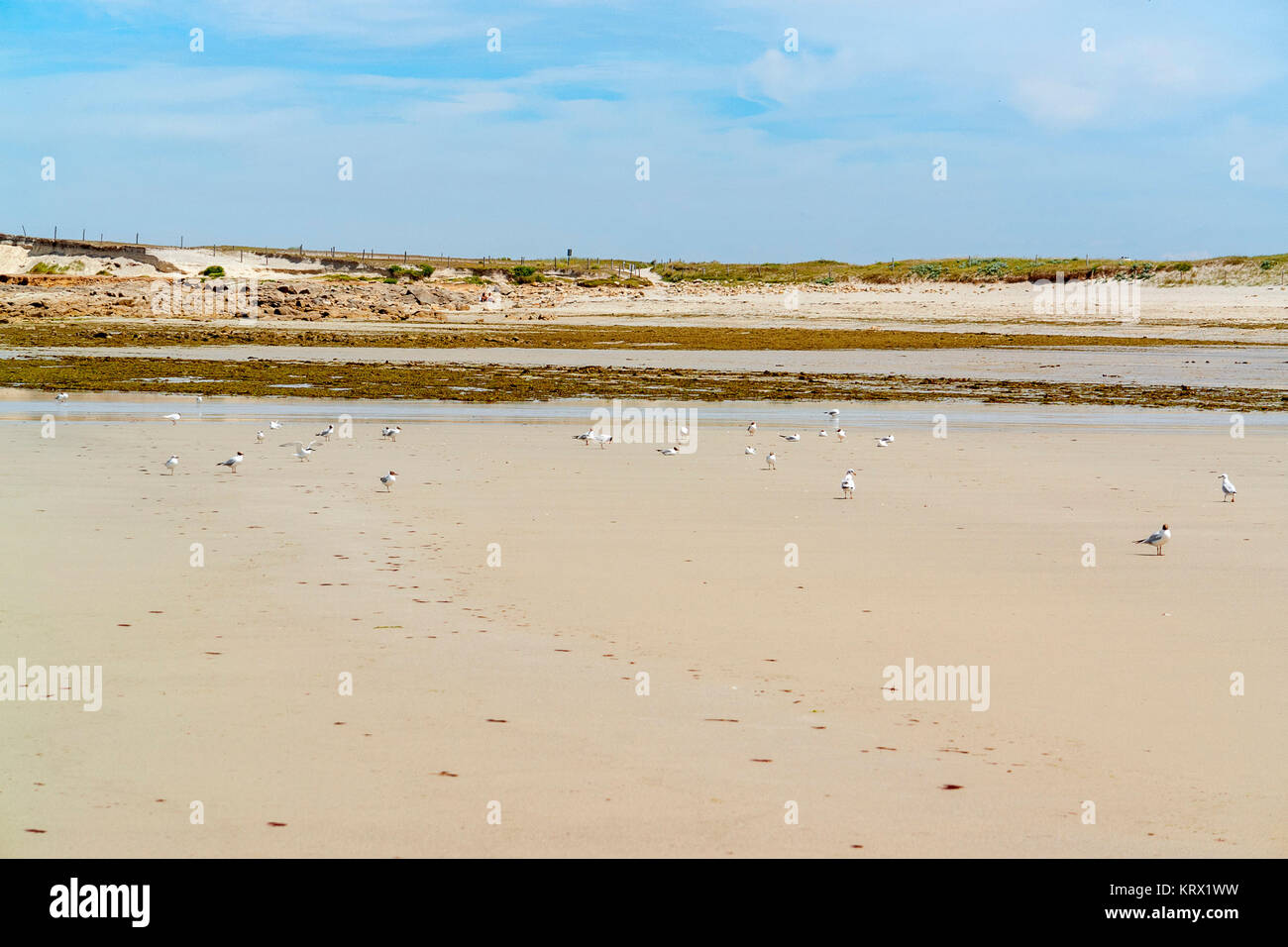 sunny beach in brittany Stock Photo