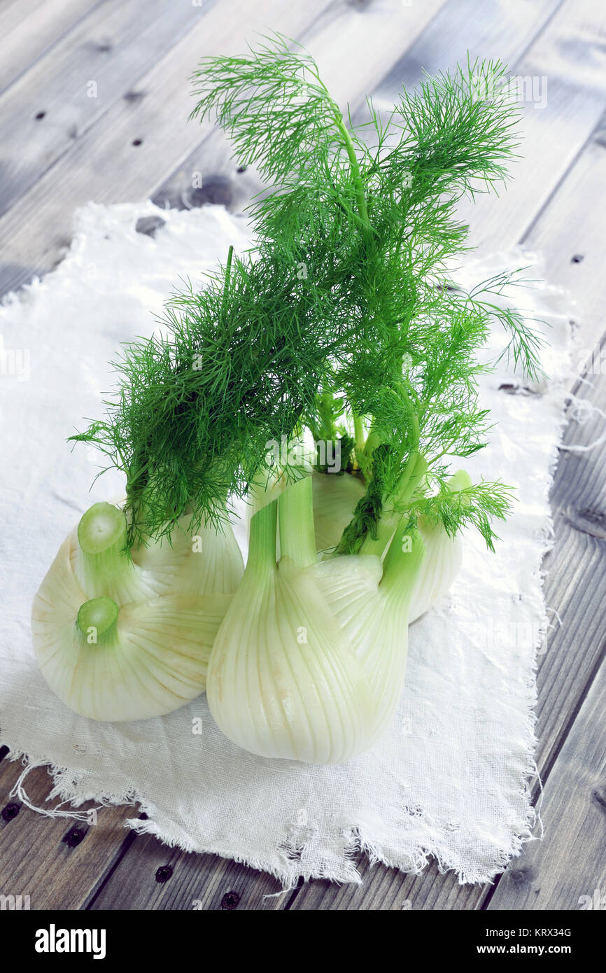 Fresh fennel grown in organic farming Stock Photo Alamy