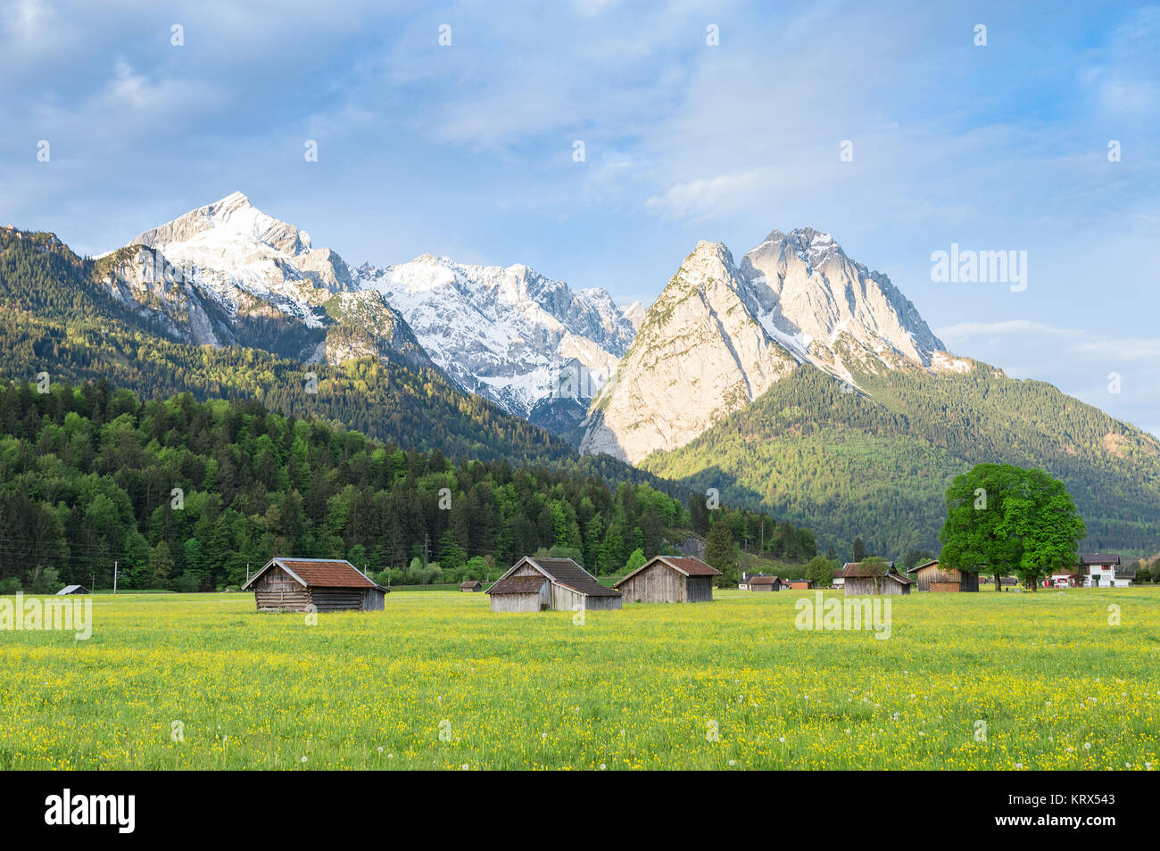 Bavarian serene landscape with snowy Alps mountains and spring flowering valley Stock Photo