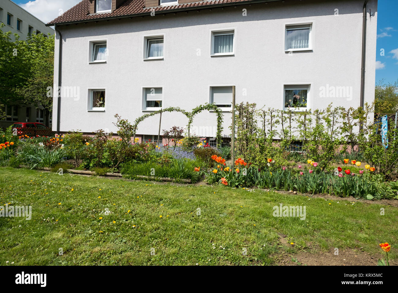 Wohnhaus mit und Wiese mit Tulpen Stock Photo Alamy