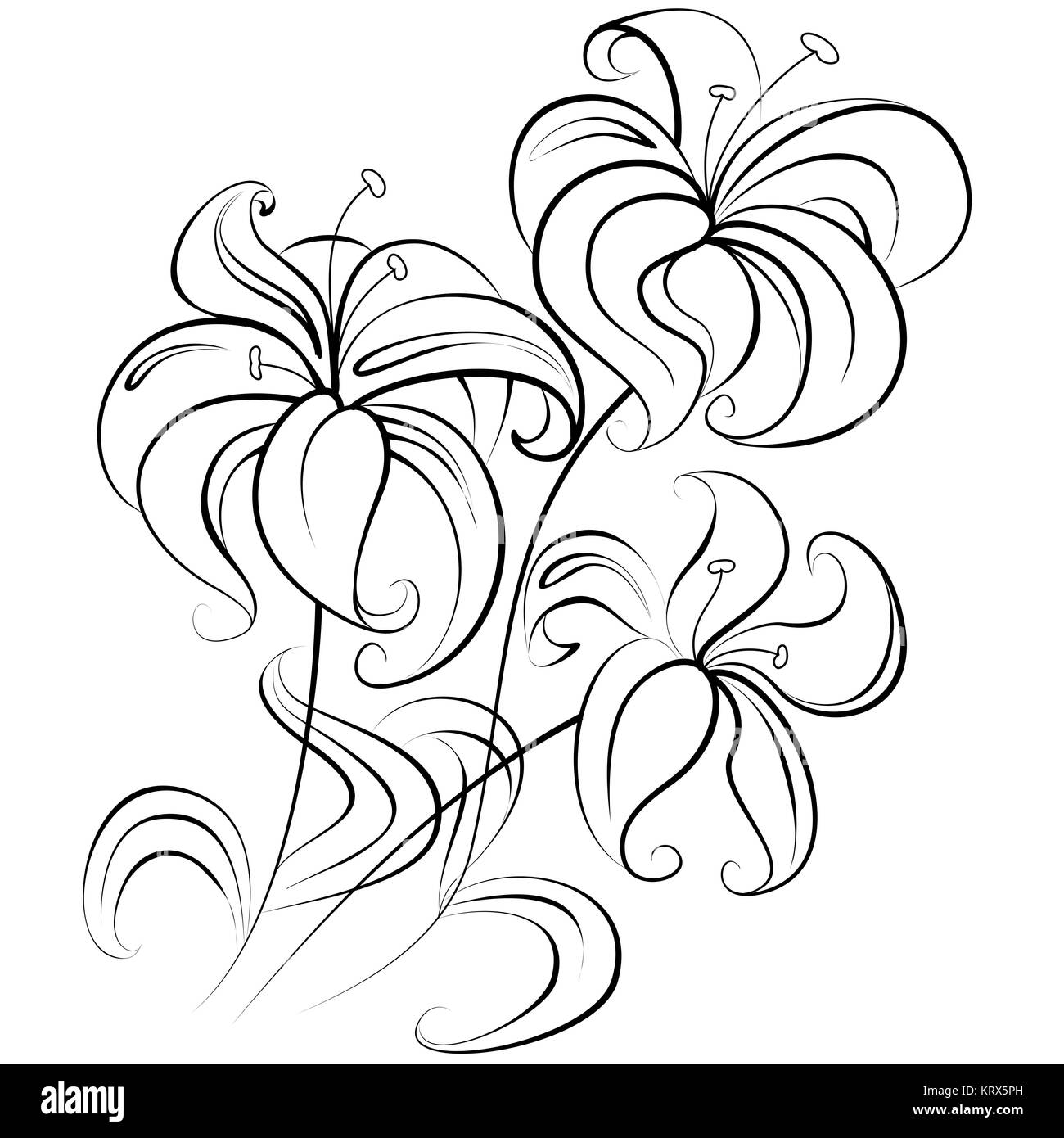 Illustration - stylized bouquet of flowers similar to a lily in a colorless version Stock Photo