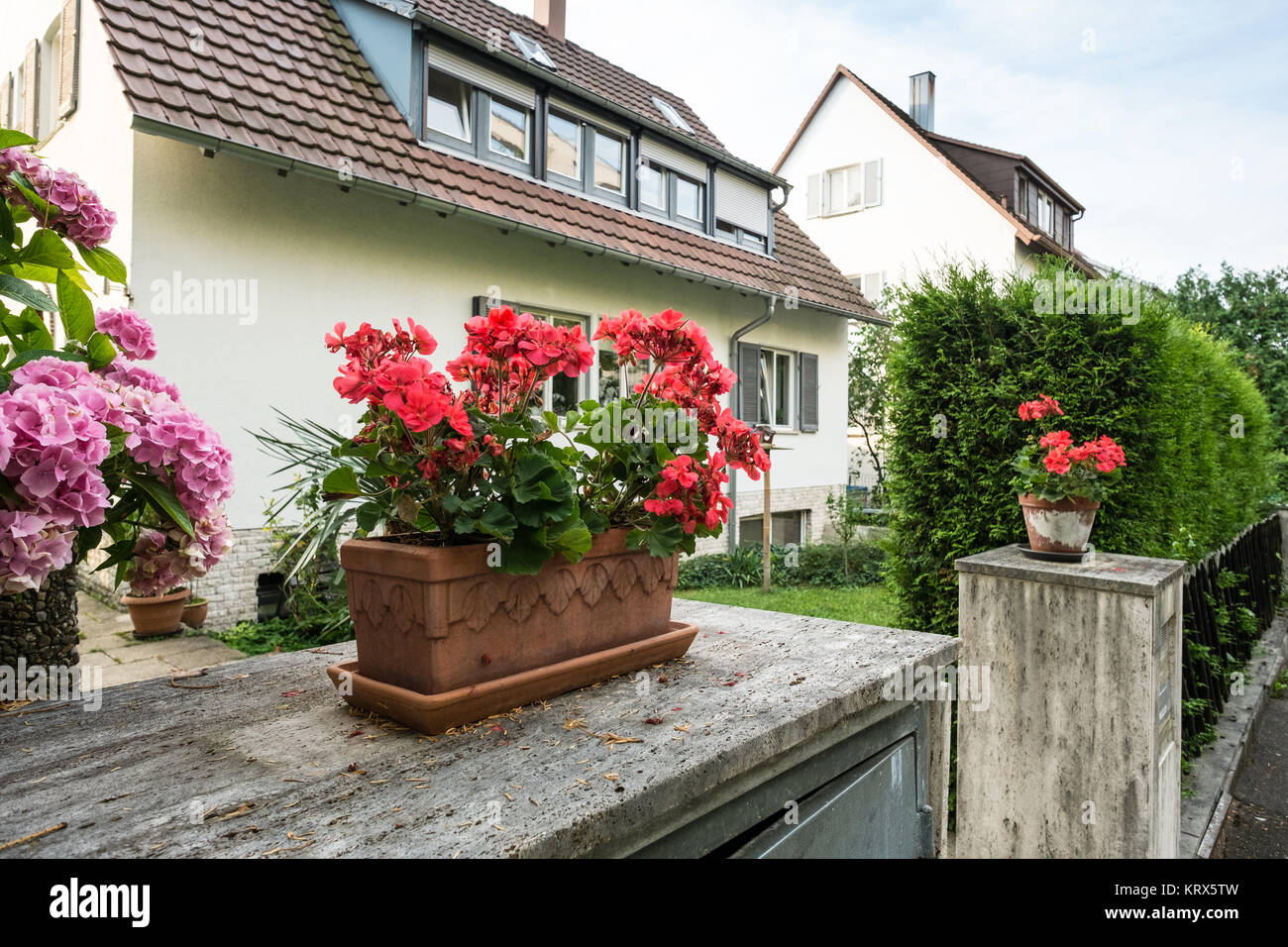 Rote Geranien im von einem Wohnhaus Stock Photo Alamy