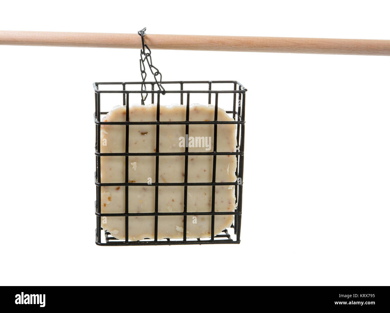 Isolated bird feeder filled with fat Stock Photo Alamy