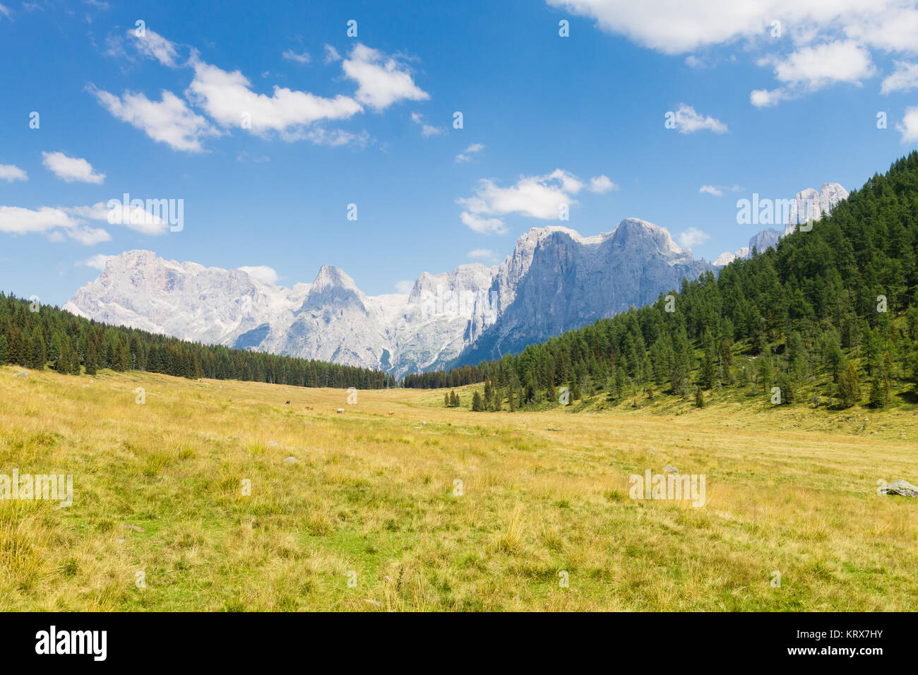 Beautiful alpine panorama Stock Photo