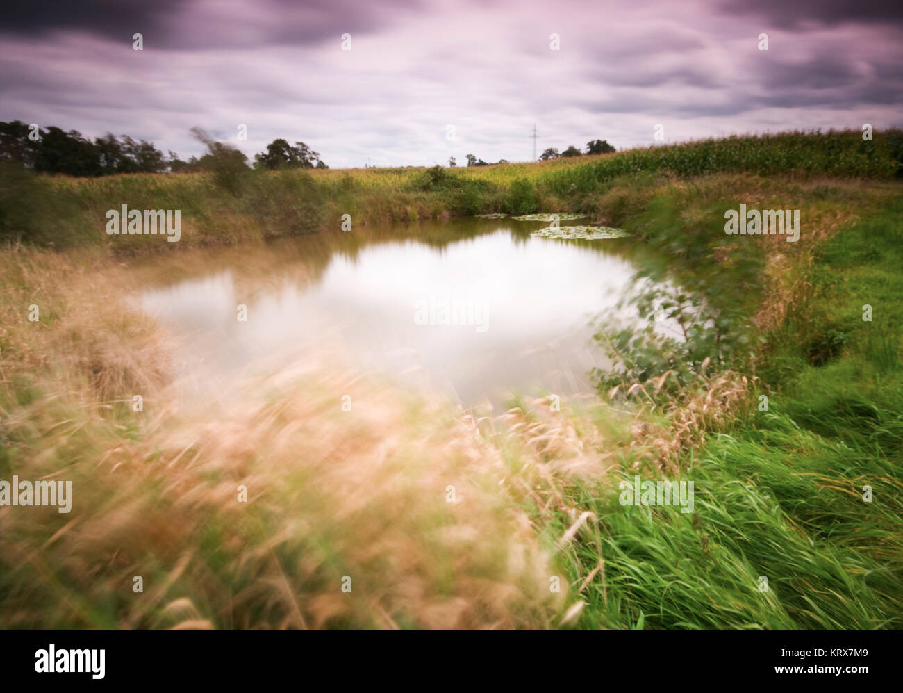 Weitwinklige Langzeitbelichtung eines kleinen Teiches auf einer Wiesenlandschaft. Stock Photo