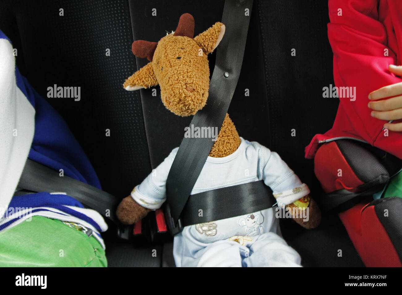 fasten seat belts ! fast your seatbelts! Stock Photo Alamy