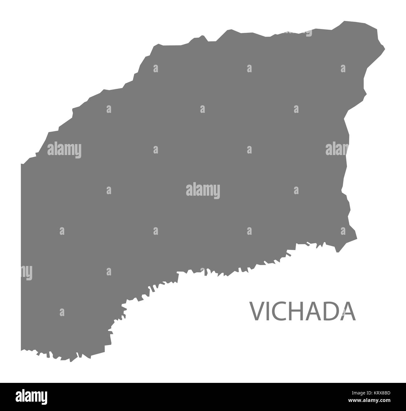 Vichada Colombia Map in grey Stock Photo
