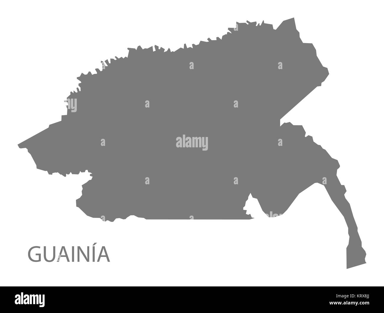 Guainia Colombia Map in grey Stock Photo