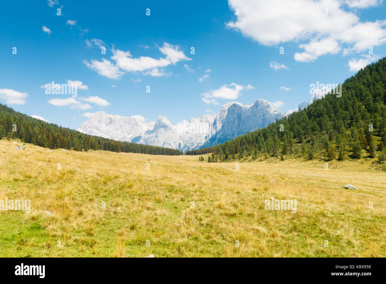 Beautiful alpine panorama Stock Photo