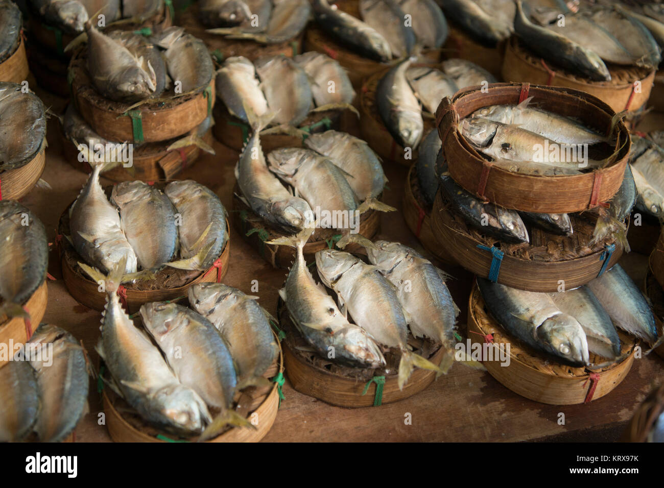 fresh fish at the thewet market in the city of Bangkok on 3.11.2016 in Thailand Stock Photo