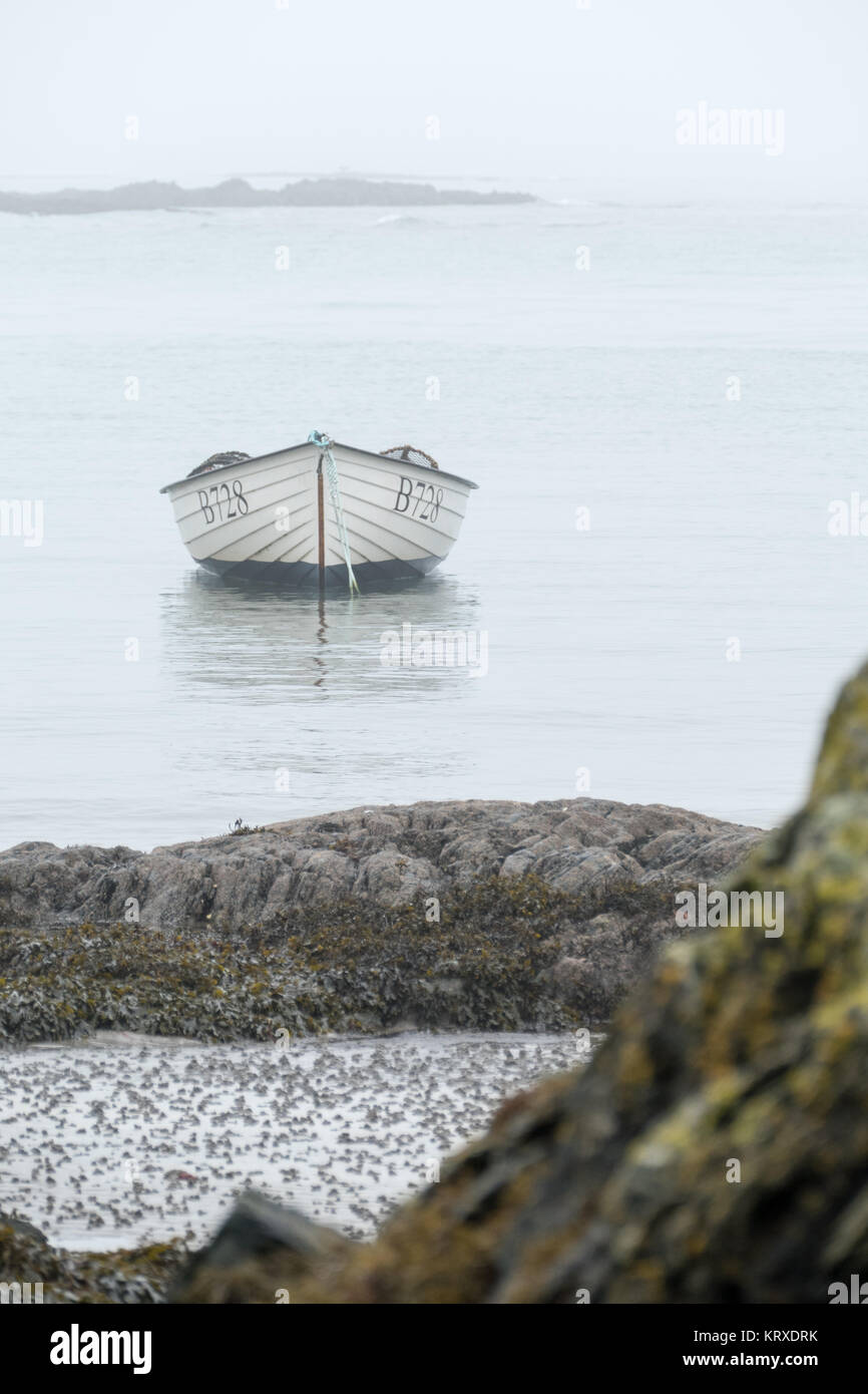 Ballywalter, Co Down, N Ireland, UK, 21st December 2017.Weather news. A mild, calm and foggy morning in Ballywalter, Northern Ireland.. copyright Gary Telford/Alamy live news Stock Photo