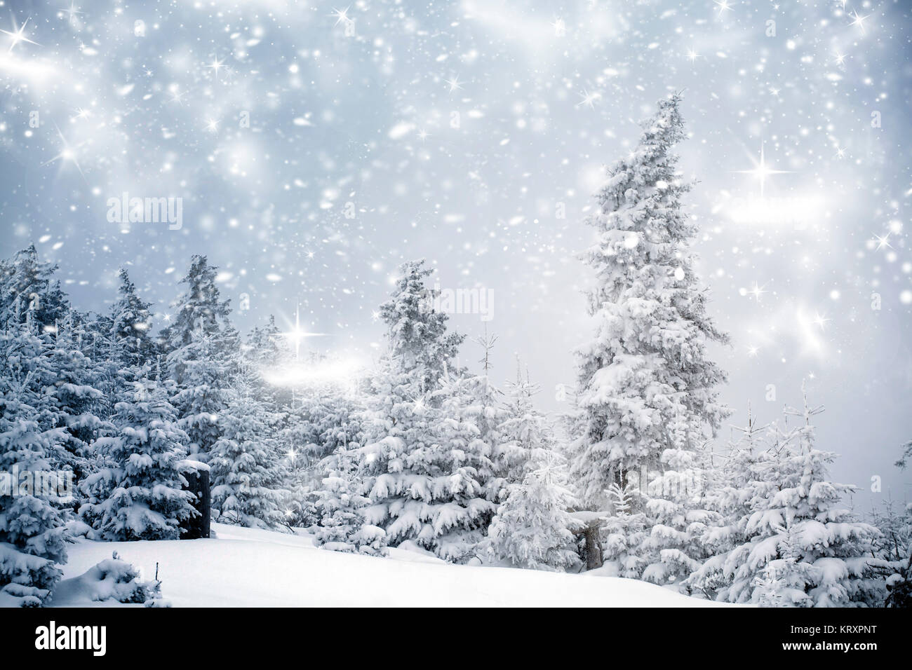 Winter landscape with snowy fir trees Stock Photo - Alamy