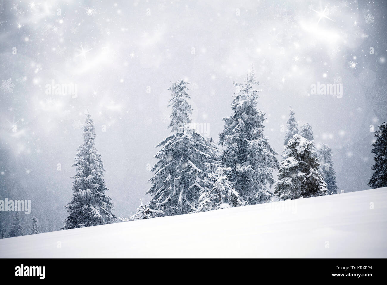Winter landscape with snowy fir trees Stock Photo - Alamy