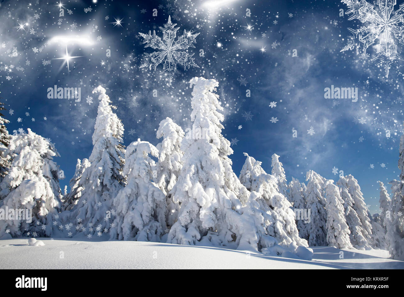 Winter landscape with snowy fir trees Stock Photo - Alamy