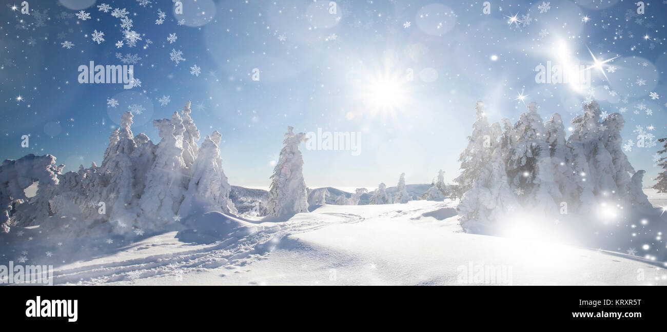 Winter landscape with snowy fir trees Stock Photo - Alamy