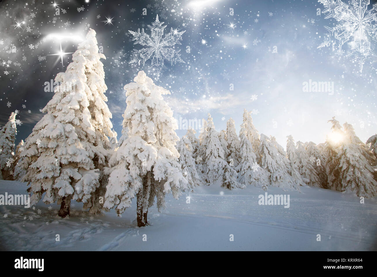 Winter landscape with snowy fir trees Stock Photo - Alamy
