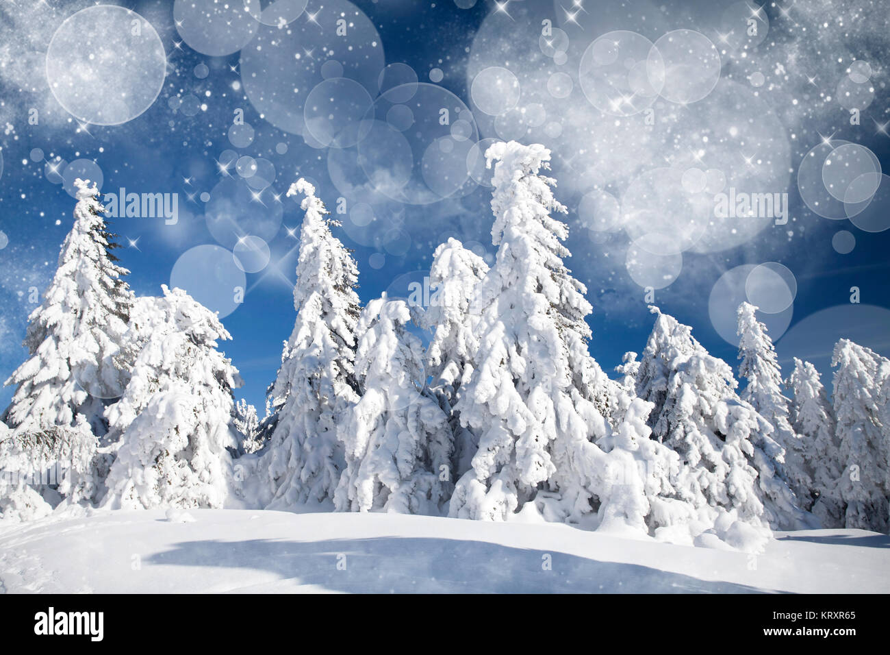 Winter landscape with snowy fir trees Stock Photo - Alamy