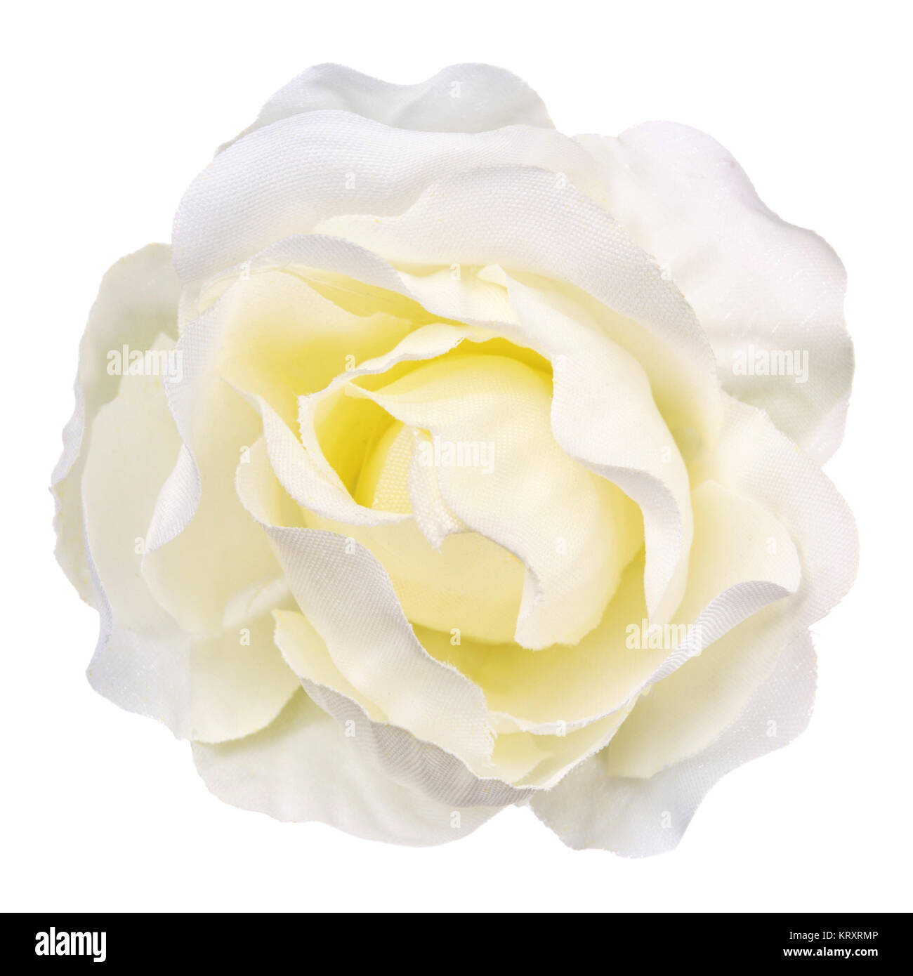 white flower head isolated, beautiful decoration,top view Stock Photo Alamy
