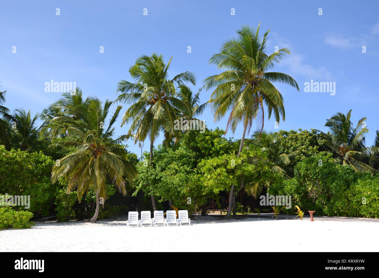 Strand auf den Malediven Stock Photo