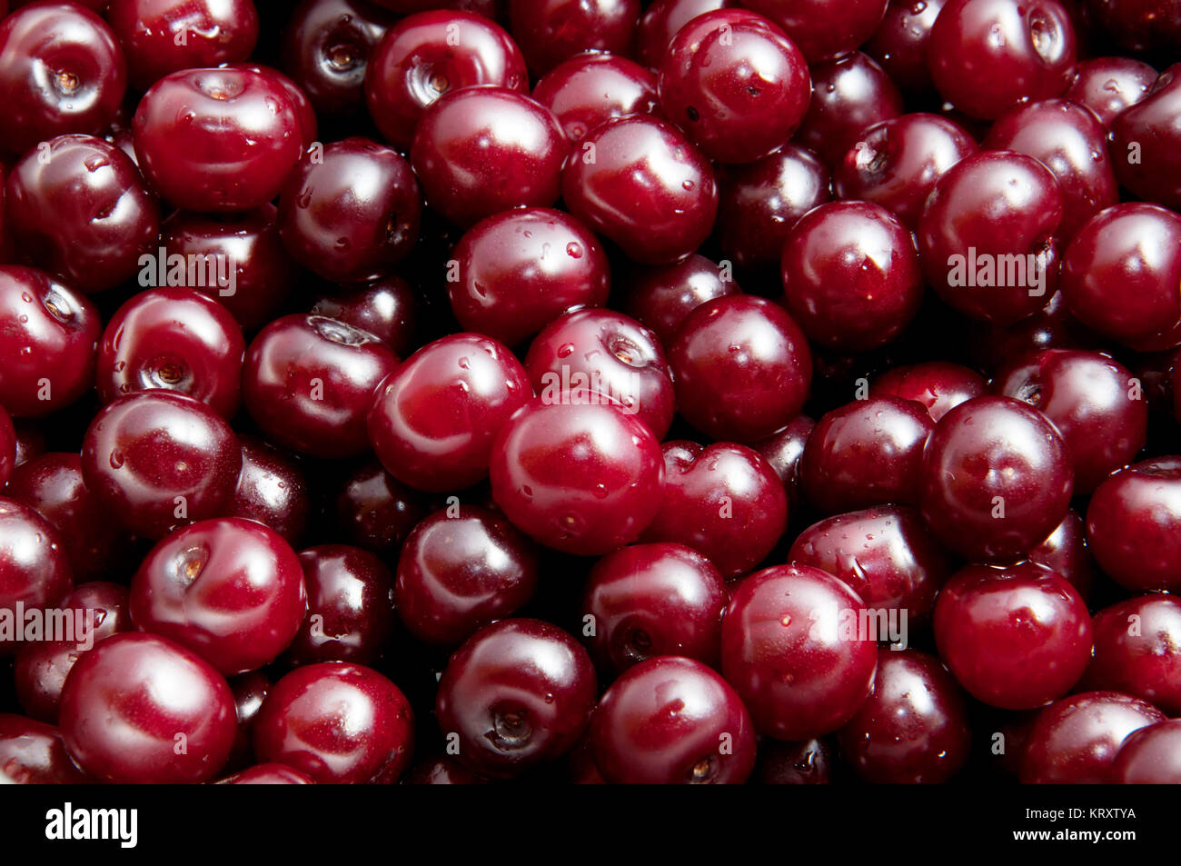 Sour cherries in a saucepan Stock Photo Alamy