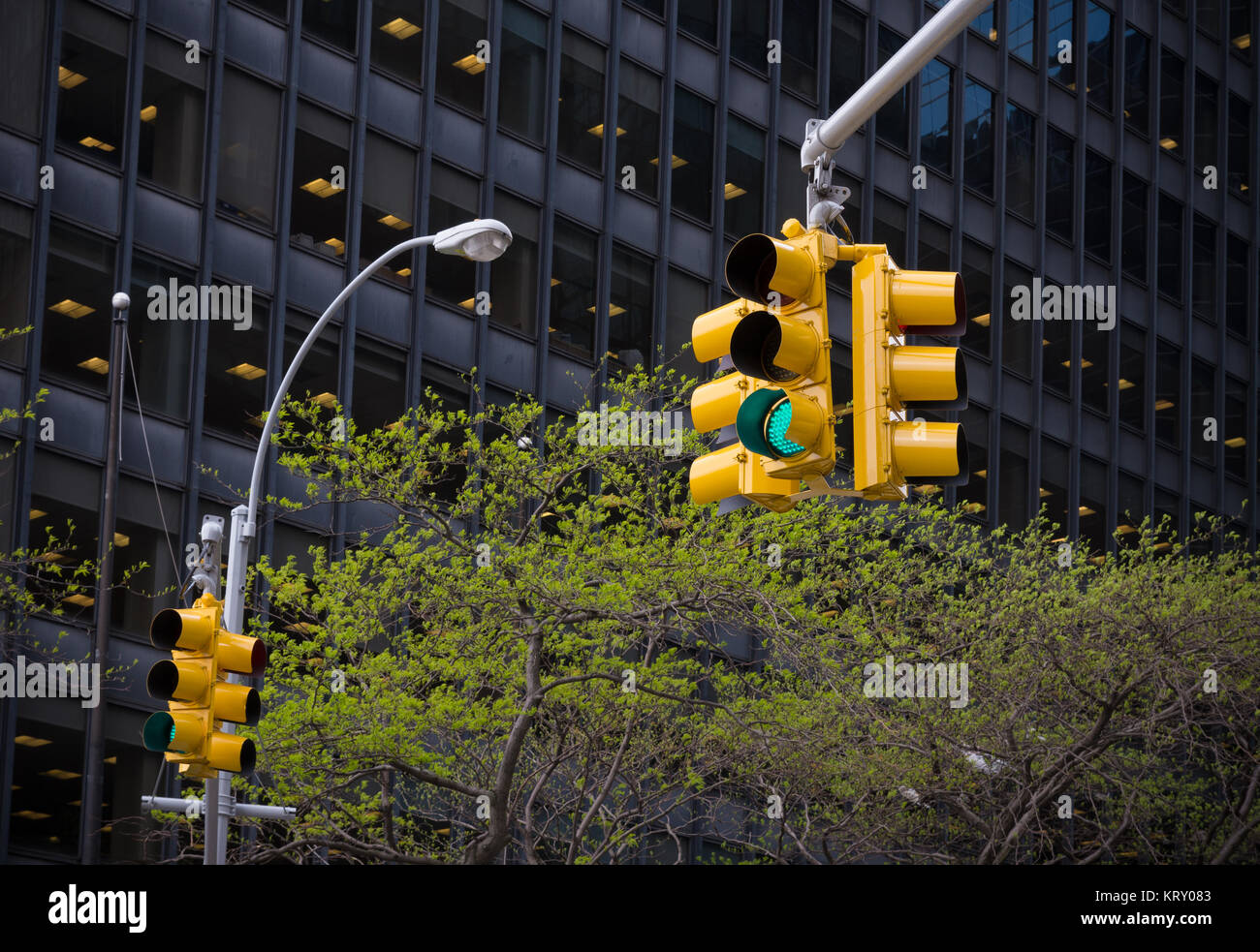 traffic lights in new york Stock Photo Alamy