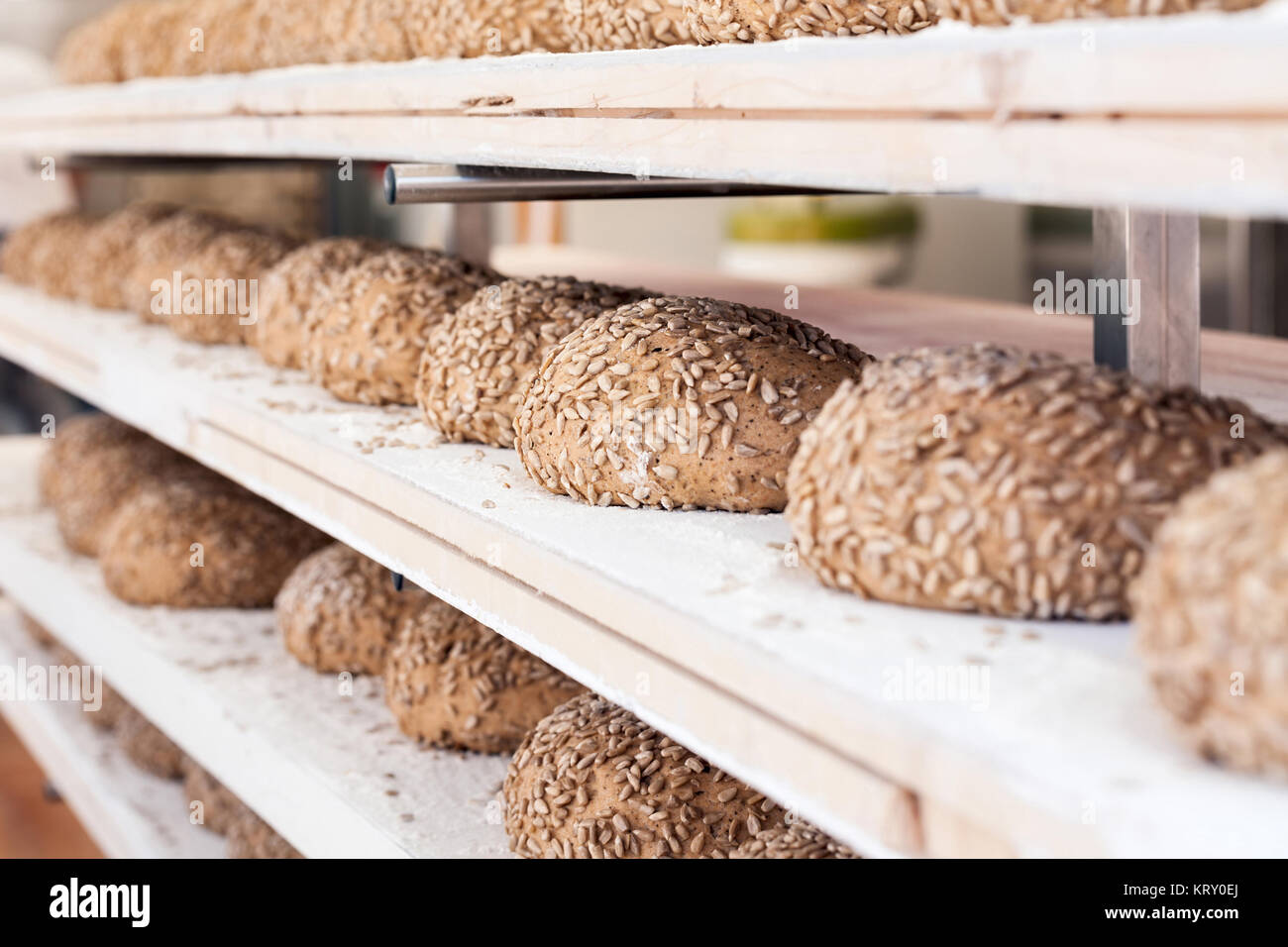 Bread before baking Stock Photo Alamy