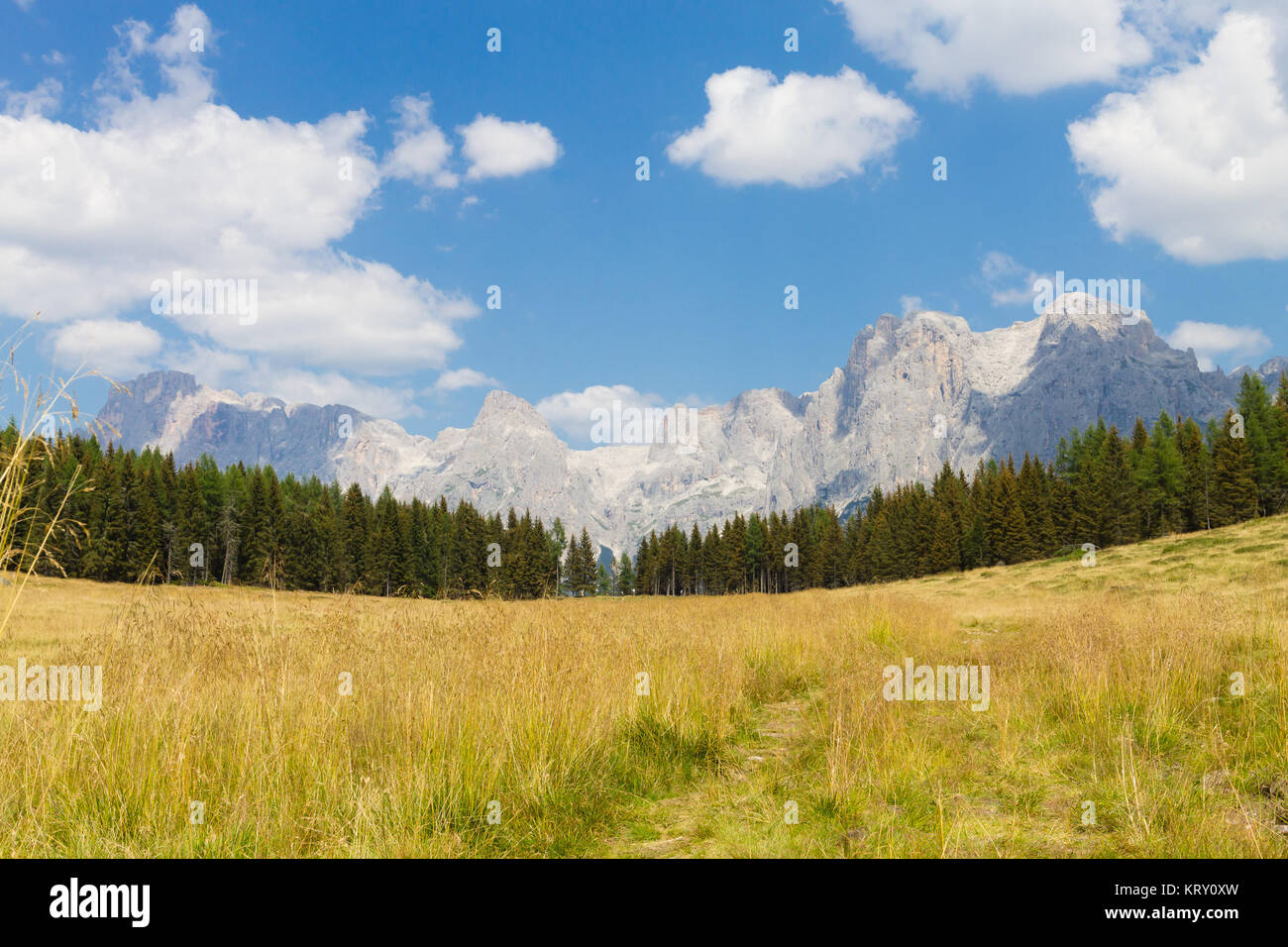 Beautiful alpine panorama Stock Photo