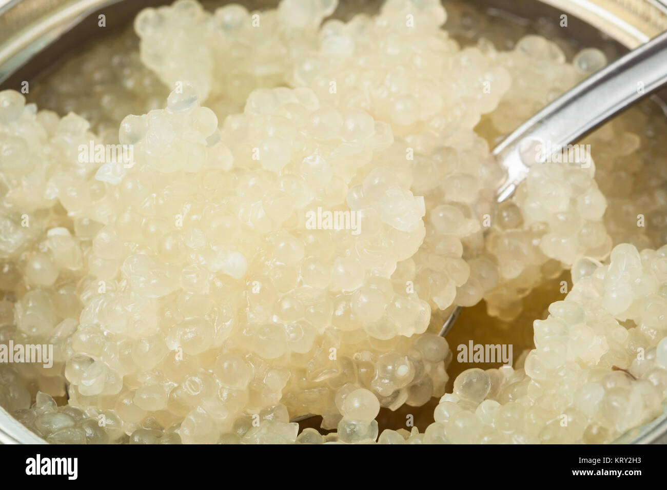 salty white caviar of halibut with spoon in tin Stock Photo