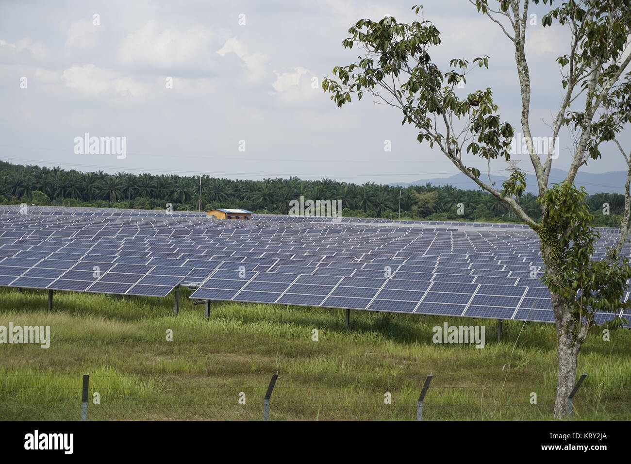 solar farm in Malaysia Stock Photo Alamy