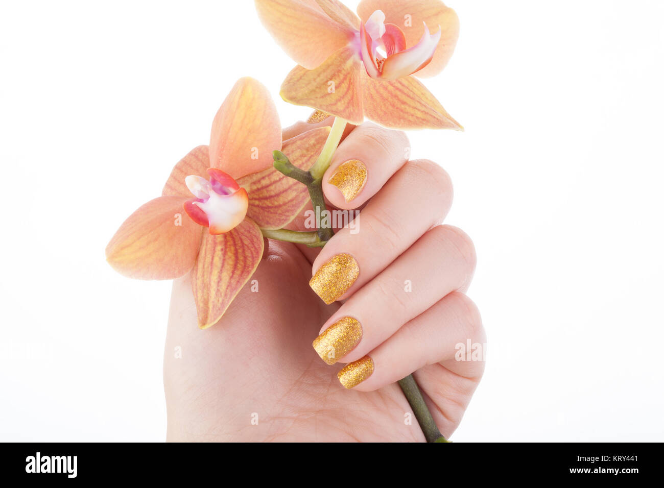 Beautiful nails. Stock Photo