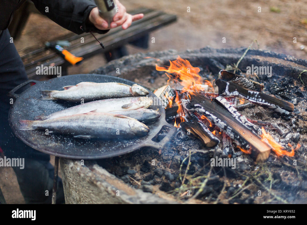 Cooking fish over a campfire Stock Photo Alamy