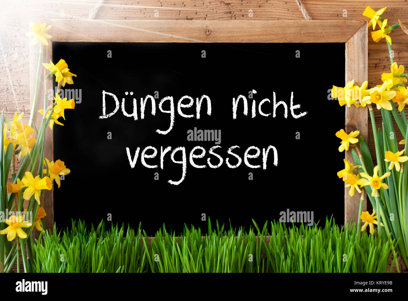 oleander mit kaffee düngen Oleander Dünger von Flora Boost – Hochwertigen Oleander Dünger kaufen