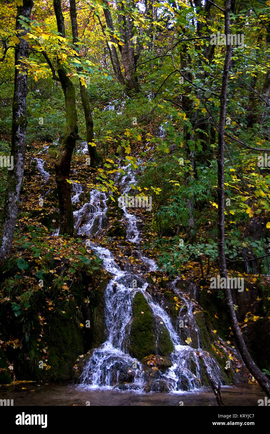 Kaskady,Park Narodowy jeziora Plitvickie w Chorwacji,zdjęcie wykonane 10.10.2008 r.,Cascades, Plitvickie Lake National Park in Croatia, made a picture Stock Photo