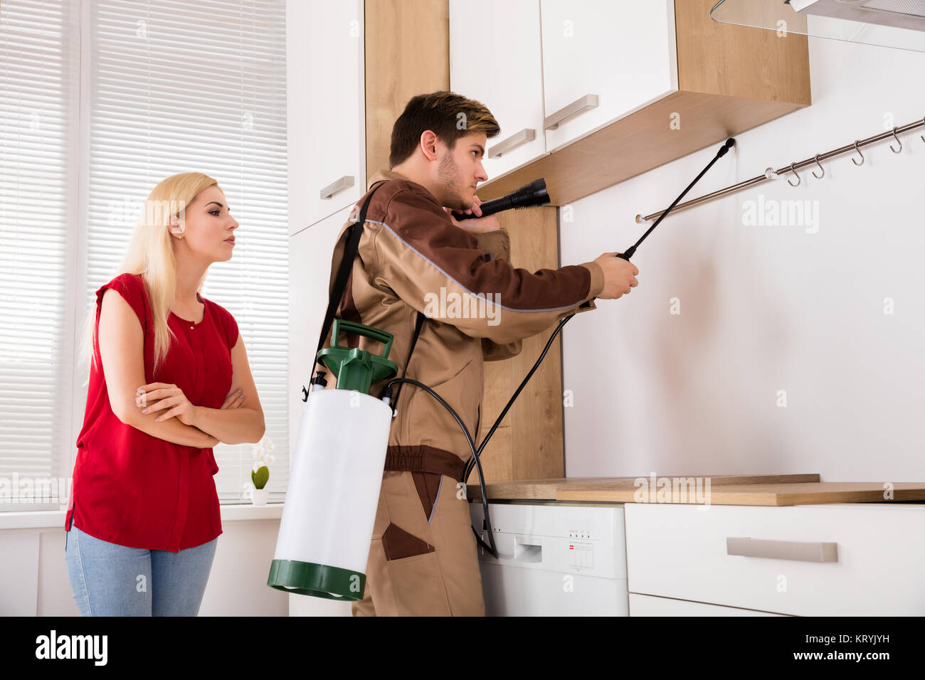 Male Worker Spraying Insecticide In Kitchen Stock Photo Alamy