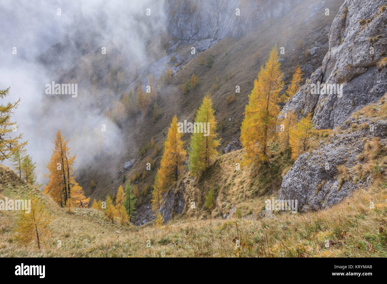 Bucegi Mountains, Romania Stock Photo - Alamy