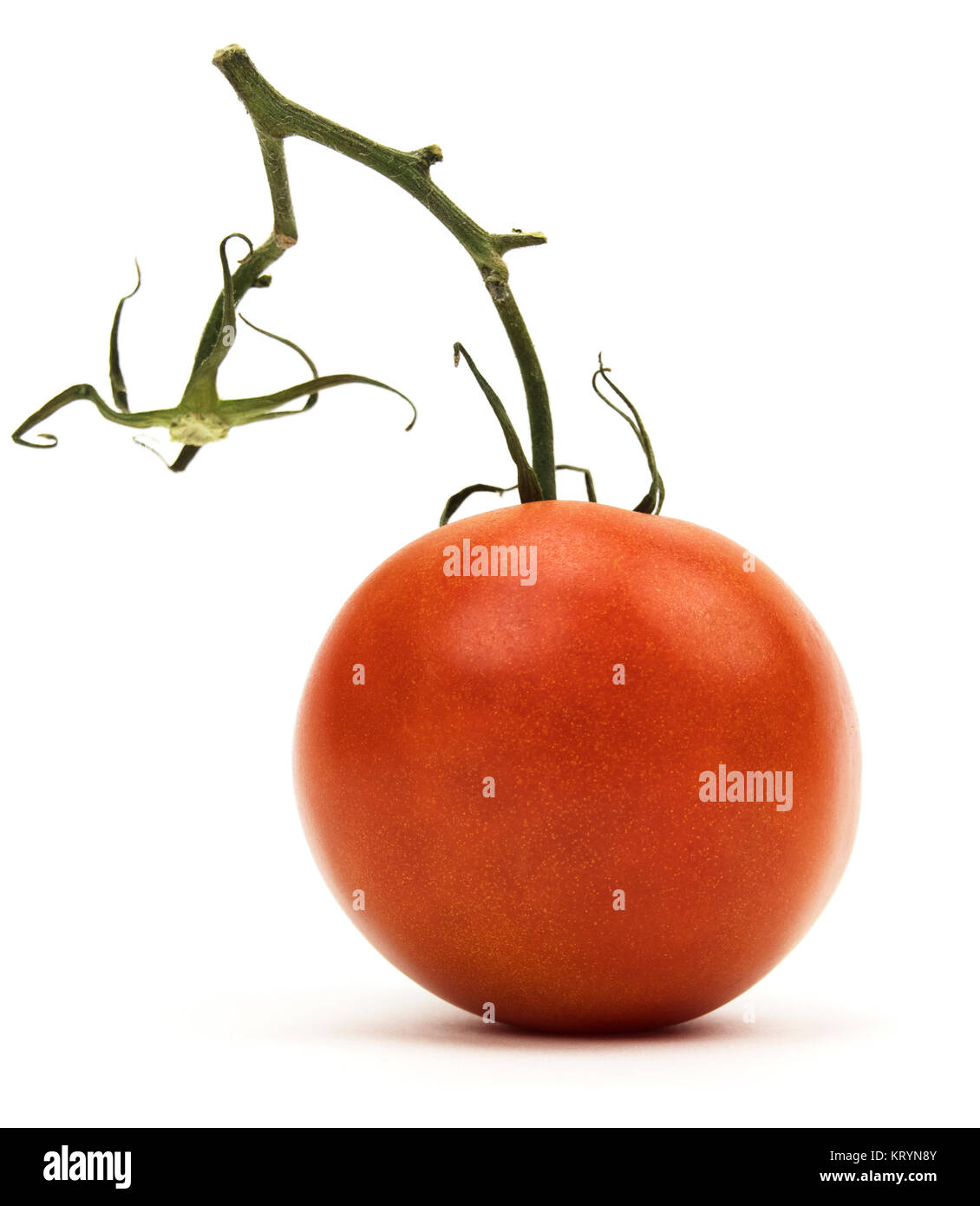 Isolated red tomato on a white background Stock Photo - Alamy