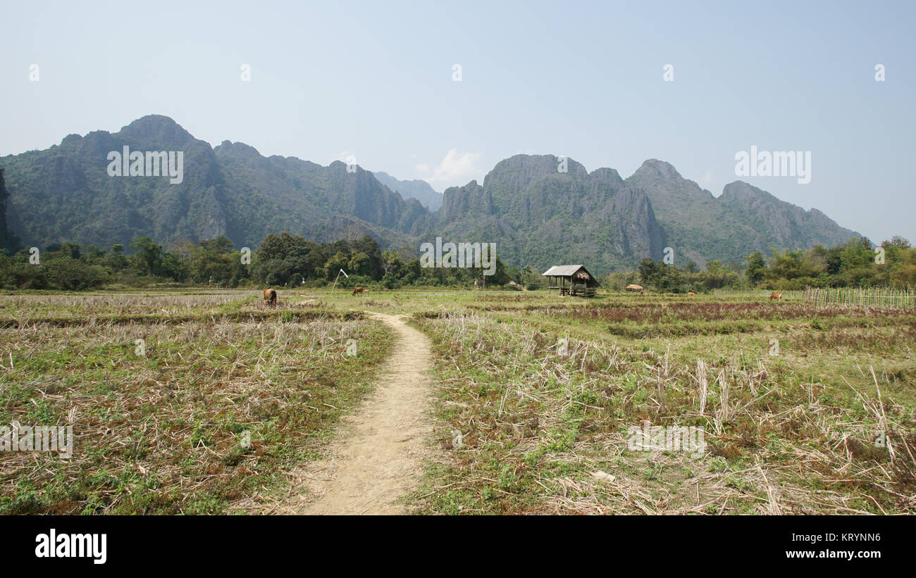 Landschaft um Vang Vieng, Laos, Asien Stock Photo