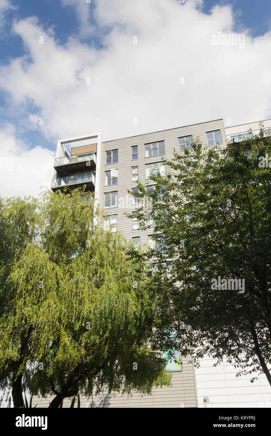 Mazarin House apartments, above the Marks and Spencer store, part of