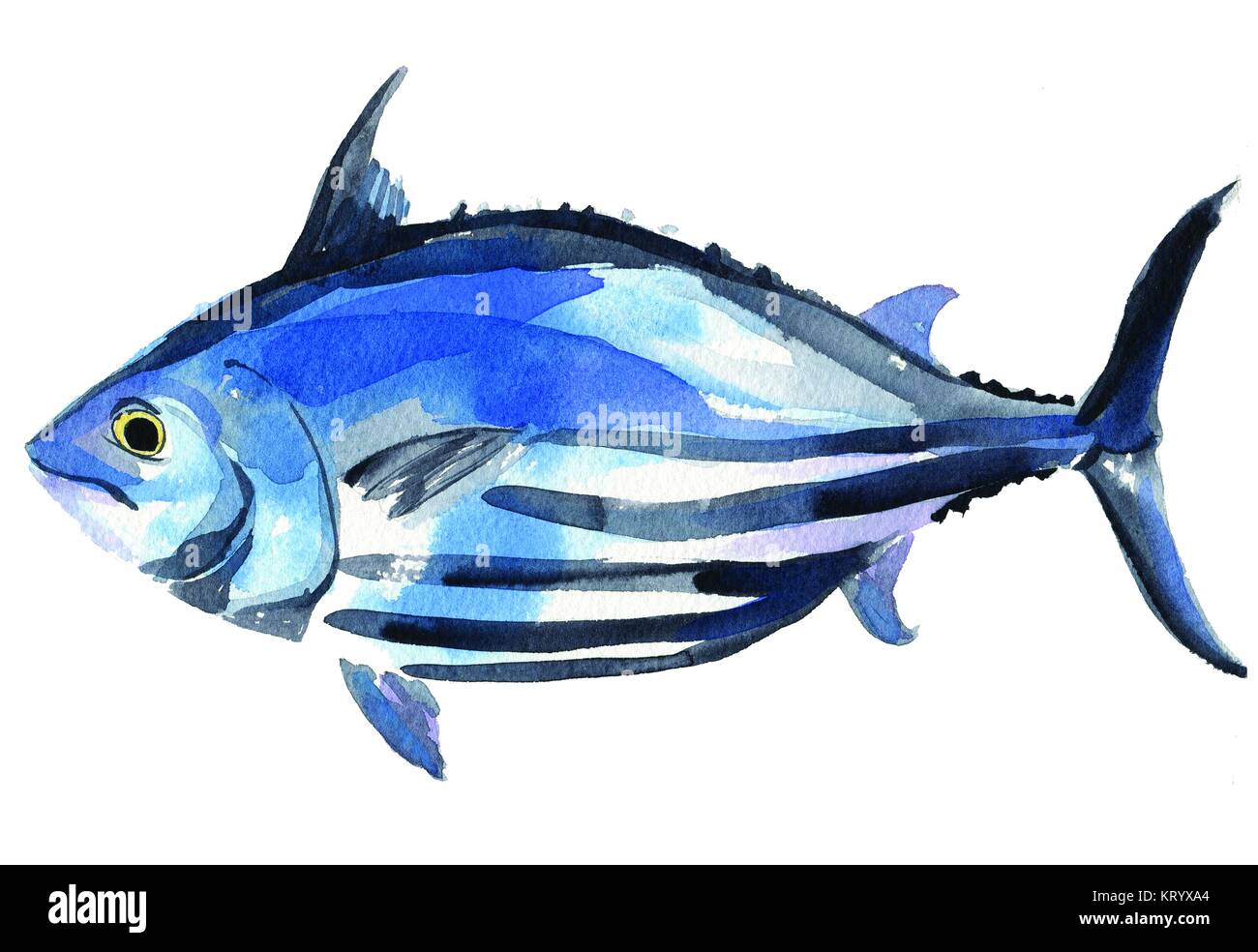Side view of blue fish on white background Stock Photo