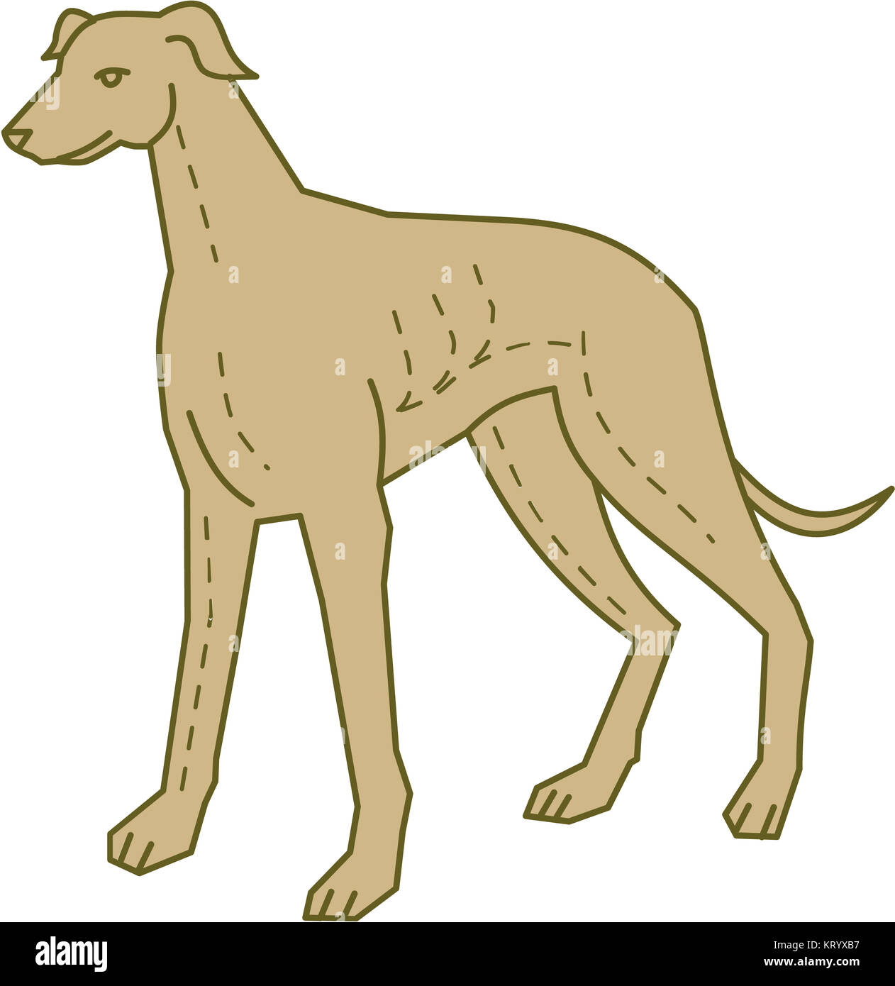 Greyhound Dog Standing Mono Line Stock Photo