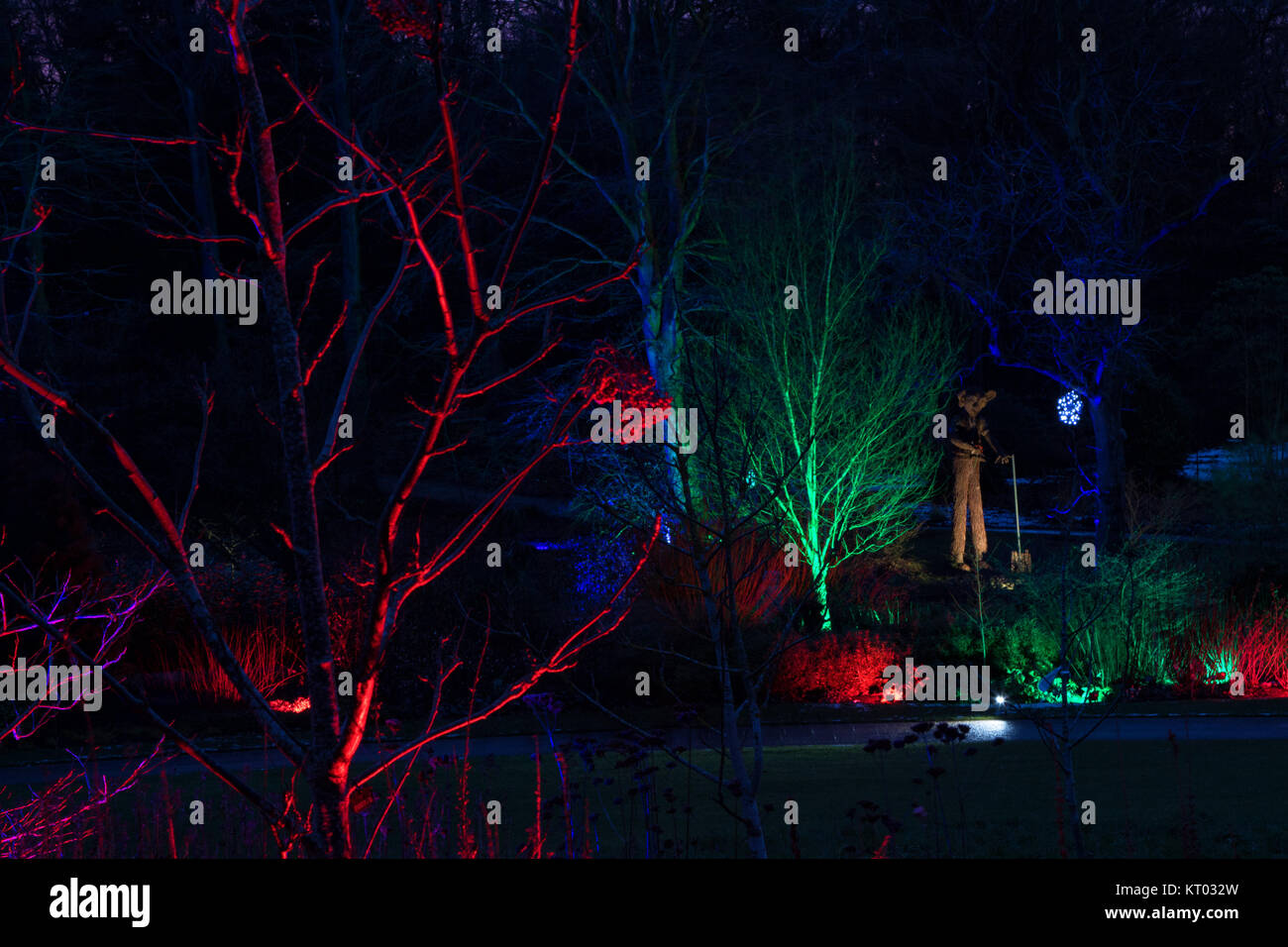 RHS Gardens Harlow Carr - Glow Winter Illuminations,Harrogate,North Yorkshire,England,UK. Stock Photo