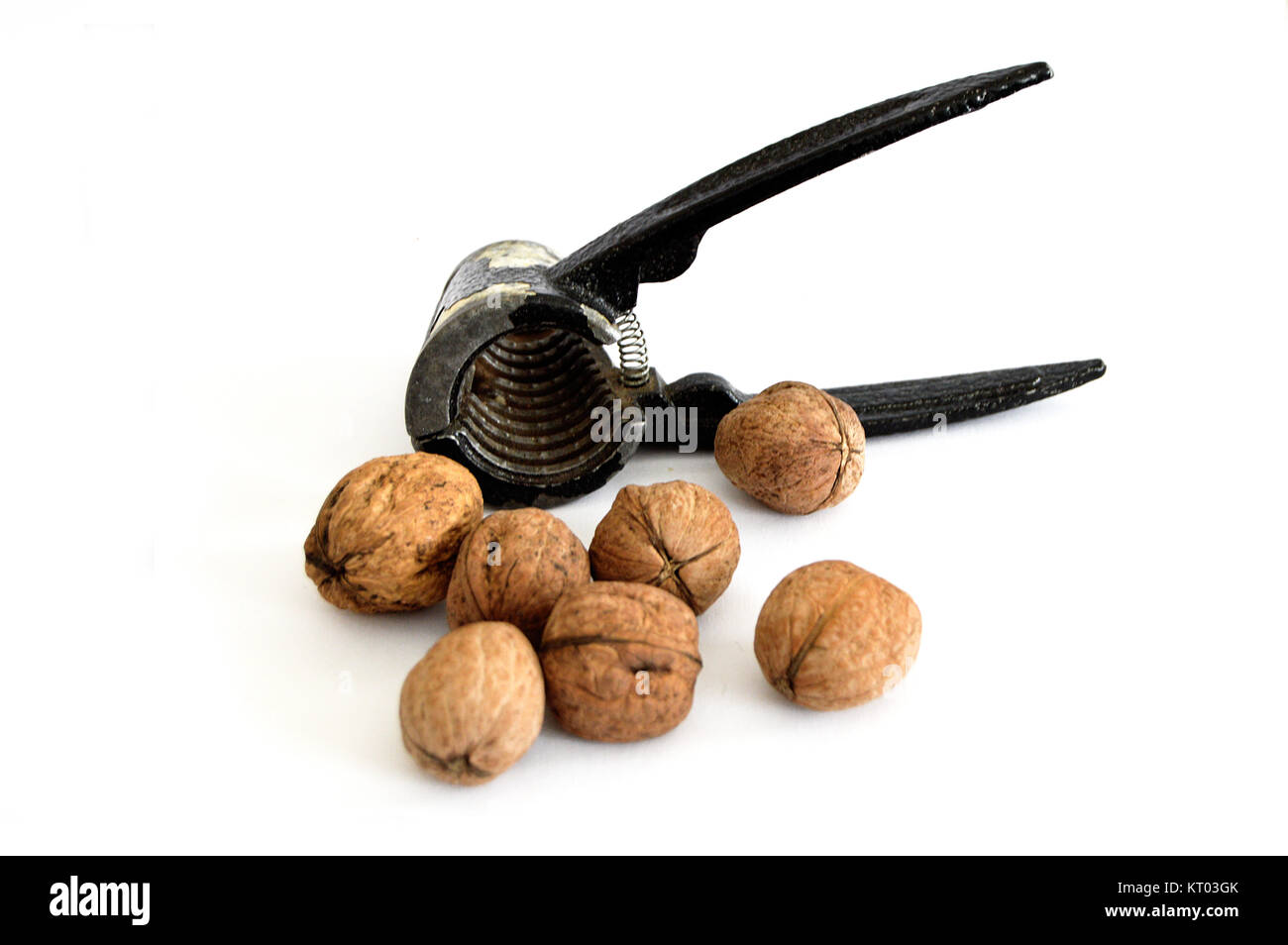 Pictures of walnut and walnut crackers Stock Photo Alamy