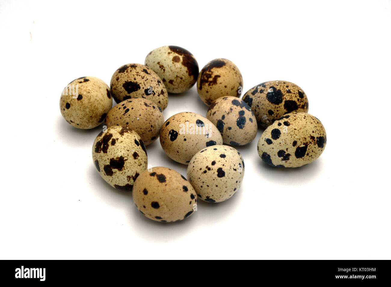 quail eggs Stock Photo
