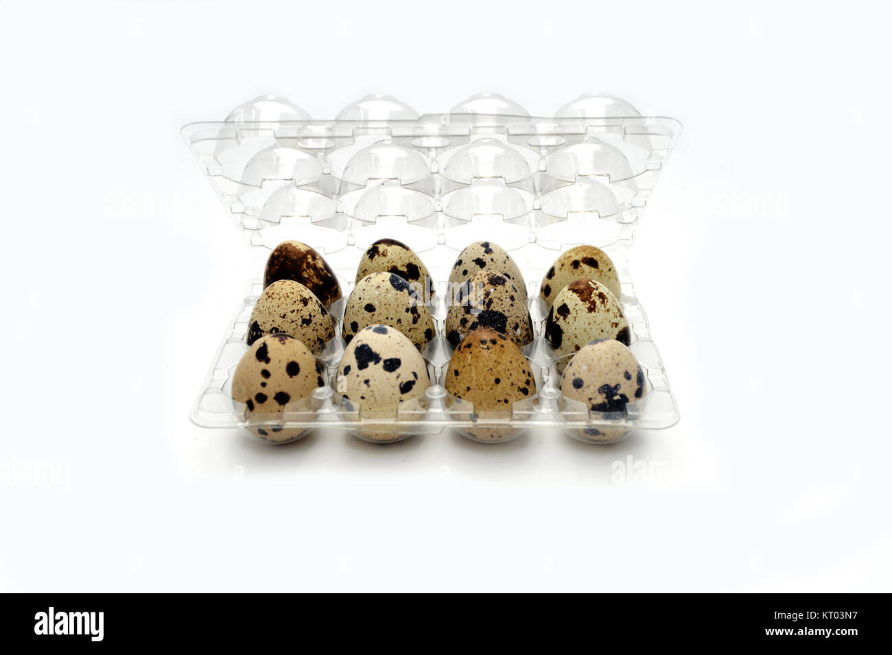 quail eggs Stock Photo