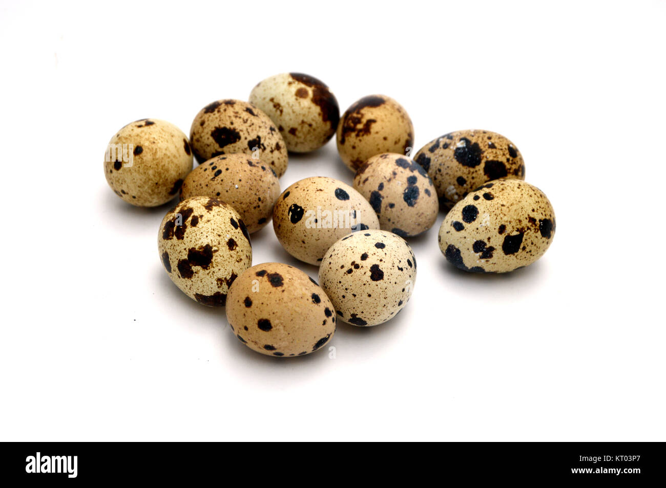 quail eggs Stock Photo