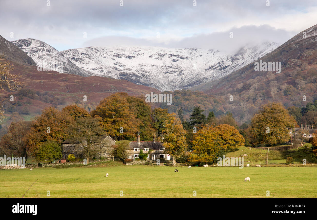 Snow lies on the summits of Hart Crag and Fairfield mountains, above the valley of the River Rathay, where sheep graze beside a farmhouse and trees di Stock Photo