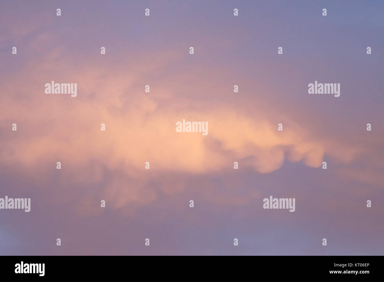 Skyscape pink clouds at sunset Stock Photo Alamy
