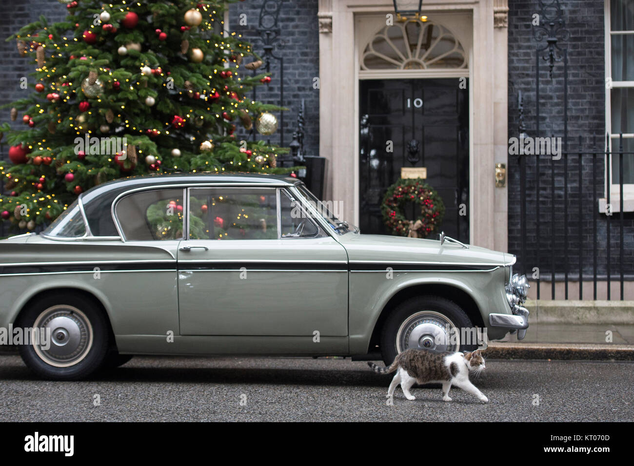 Larry the cat walks past Greg Knight MP's 1961 Sunbeam Rapier car after it arrives in Downing Street, London. Stock Photo